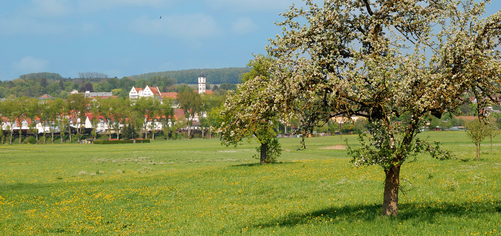 Herzlich Willkommen Beim CDU Aulendorf Stadtverband